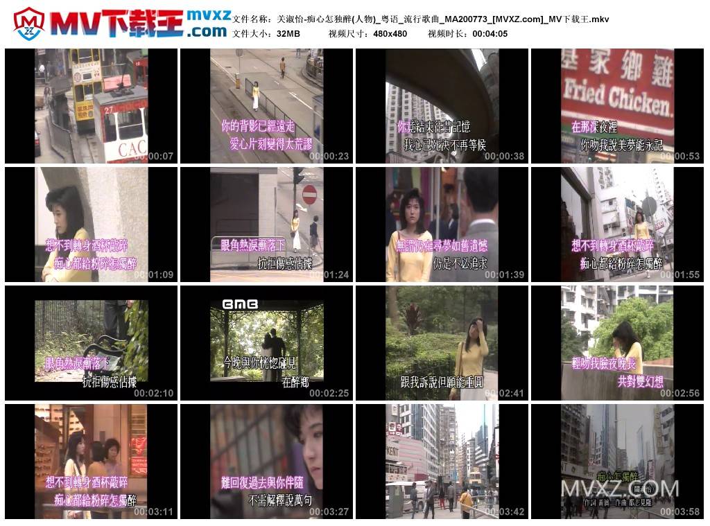 关淑怡-痴心怎独醉(人物)_粤语_流行歌曲_MA200773